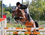 Sacchi Hey Day GioCav2013 S5 3212 : Campionati Italiani Giovani Cavalli, Cattolica, Hey Day Hopper, Sacchi Stefano, ph Stefano Secchi ©